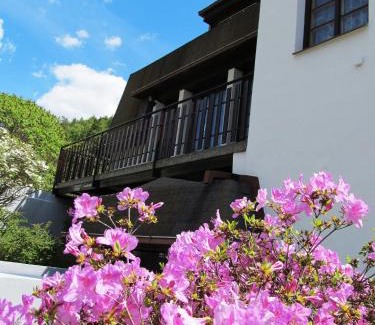 Zelezny Brod Maison | Starý mlýn - Wellness Hotel Penzion Apartmány v Českém ráji