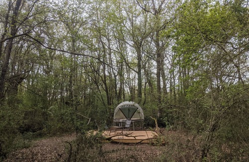 Gennes-Val-de-Loire Cabine | Dôme étoilé : Arnette au Thoureil, Maine & Loire