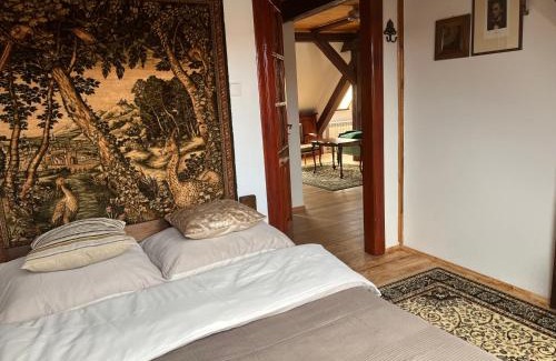 Szczytno Appartement | Stara Kamienica