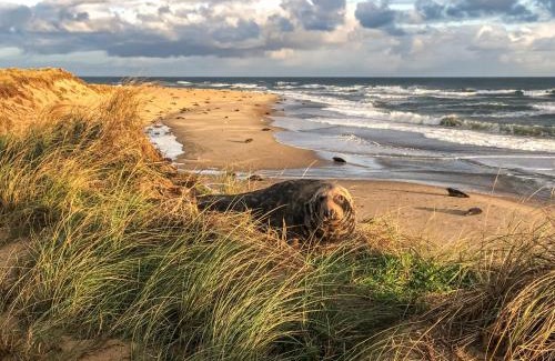 Winterton-on-Sea Maison | Starboard Cottage