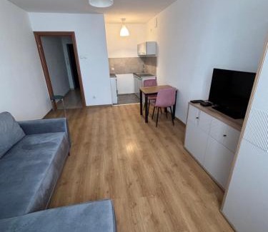 Malbork Appartement | Stare Miasto 10