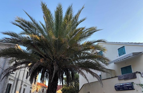 Veli Losinj Appartement | Starfish Studio Apartment, Veli Lošinj, Croatia