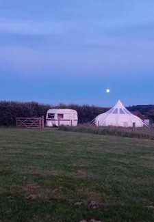 Cromer Autre | Stargazer Bell Tent