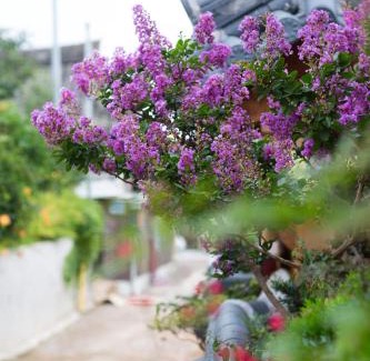Jeonju Maison | Starlight Rest Area