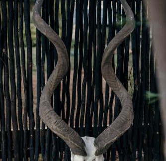 Riebeeck West Appartement | StarsHollow Cottage