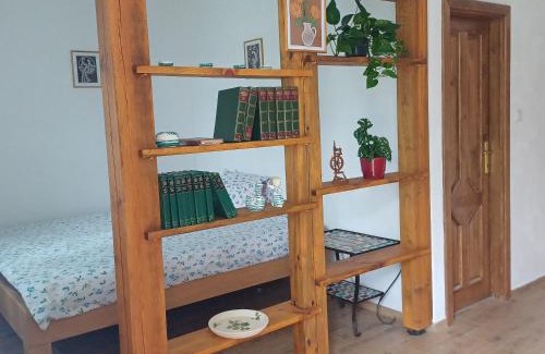 Borovany Appartement | statek U Špuláka