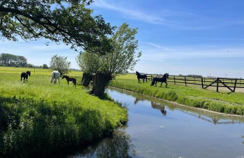 Wytgaard Maison | Statelan Logies, sfeervol en luxe ingericht vakantiehuis met 2 slaapkamers in het hart van friesland