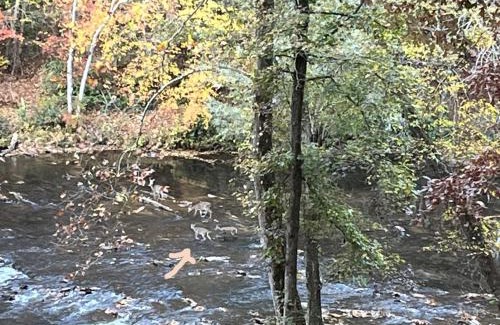 Dahlonega Maison | Stay at Rivermist Dahlonega