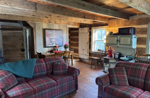 Muncy Cabine | Stay in a Modernized 1800's Historic Log Cabin for Little League World Series!