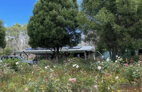 Sassafras Cabine | Stay on the escarpment, rural retreat, forest bathe, stargaze, amazing views