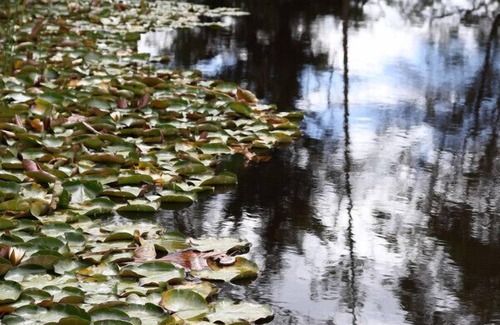 Badger Creek Cabine | StayAU 2BR Serene Lakeside Haven