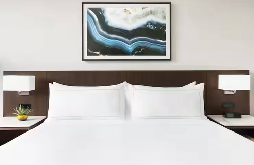 Downtown Tucson Hôtel | Std 1 King, DoubleTree Tucson, Spacious Room & Restaurant, Close to University