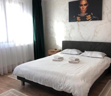 Piatra Neamt Appartement | STEFANIA