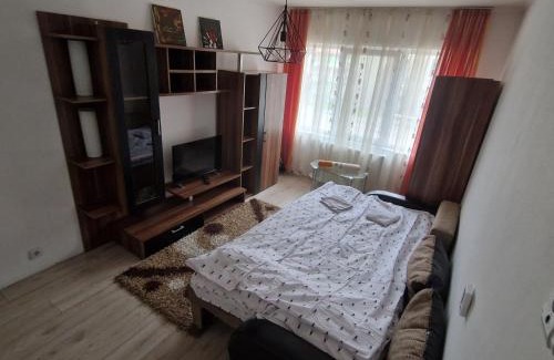 Floresti Appartement | Stejarului App