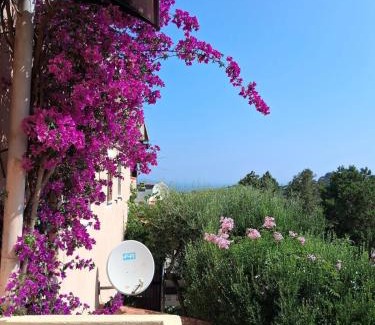Porto Rotondo Appartement | Stella Marina, Porto Rotondo