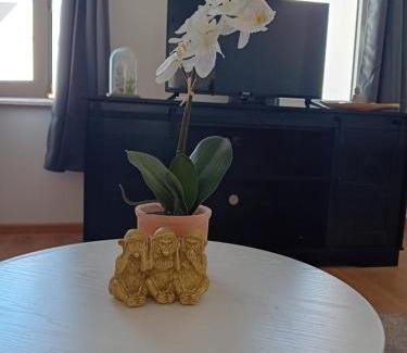 Crimmitschau Appartement | Stellas Monteurwohnungen
