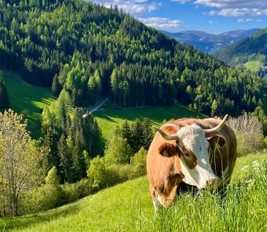 Rennweg am Katschberg Autre | Stellplatz mit Aussicht auf Bergbauernhof