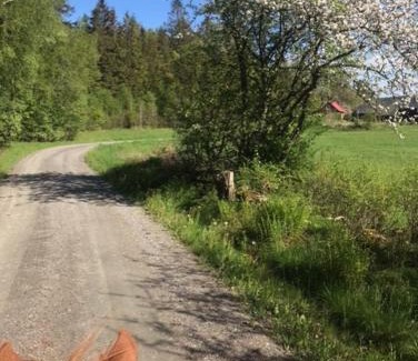 Veddige Maison | Stenlid - Med naturen och lugnet i fokus