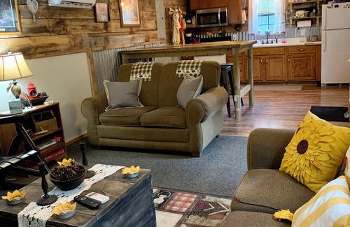 Cool Ridge Cabine | Step back in time with this unique cozy cabin by the creek.