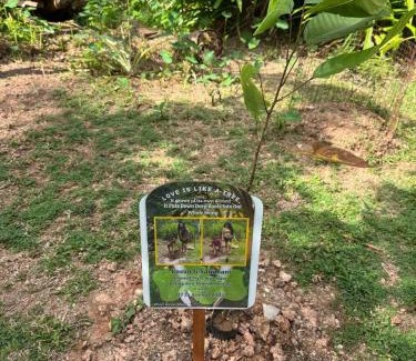 Minuwangoda Hôtel | Steps Garden Resort