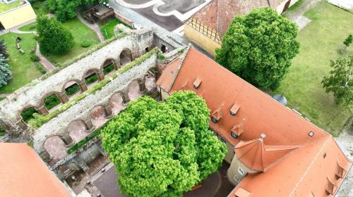 Memleben Lit Et Petit-Déjeuner | Stiftung Kloster und Kaiserpfalz Memleben