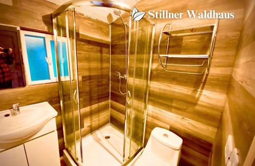 Puerto Varas Chalet De Ski | Stillner Waldhaus