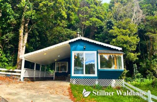 Puerto Varas Chalet De Ski | Stillner Waldhaus