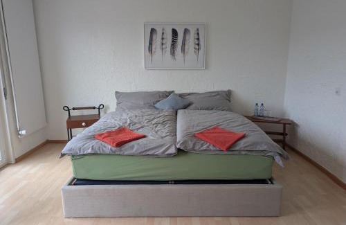 Oberwil Maison | Stilvolles Privatzimmer im Einfamilienhaus nahe Basel