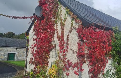 Athenry Appartement | Stone Barn Cottage In Galway Countryside