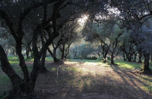 Galatas Maison | Stone house among trees
