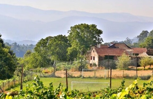 A Caniza Cottage | Maison en pierre à côté d'un vignoble pour 2 personnes. Animaux acceptés.