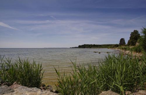 Neuendorf Appartement | strandnahe Idylle am Meer, private Badestelle mit Strandkorb - Gutshof Ostseeblick FeWo Nr 04