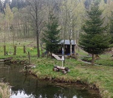 Lubawka Appartement | Strumyk