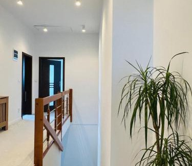 Gmina Witkowo Appartement | Strzyzewo Witkowskie Luxury Apartment