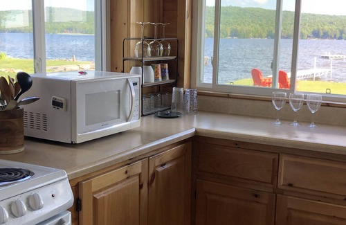 Old Forge Maison | Stu's Viewz - Best View on 4th Lake, Amazing Shallow Sandy Swimming