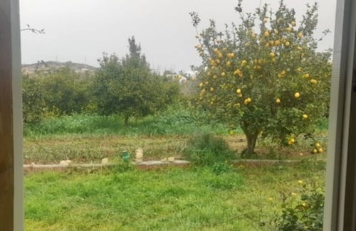 Ariana Governorate Appartement | Studette à la ferme