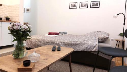 Vrsac Appartement | Studi-apartman Kestenov stan