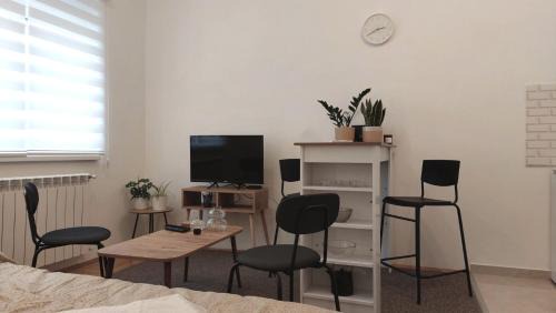 Vrsac Appartement | Studi-apartman Kestenov stan