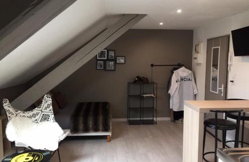 Belfort Appartement | Studio, étage 3, spacieux refait à neuf