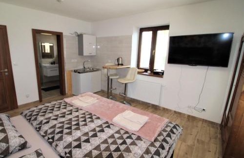 Zupanovice Appartement | Studio Županovice-1 by Interhome