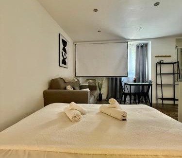 Limoges Appartement | Studio 1 - Cinéma Sport Parking - DABNB