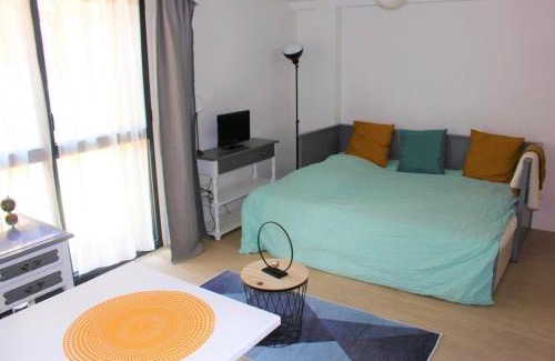 Anatole France Danton Appartement | Studio 18