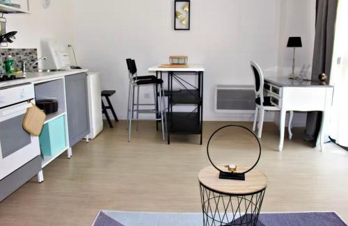 Anatole France Danton Appartement | Studio 18