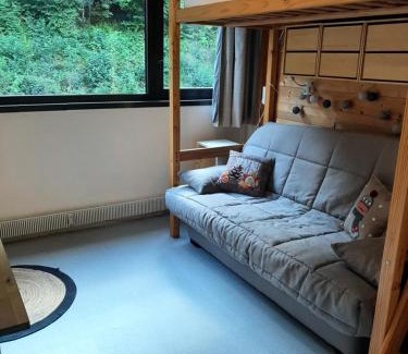 Torcy Appartement | Studio 19 m2 à louer au Mont-Dore