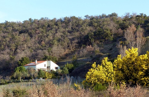 Ceret Appartement | Studio ,2 pers, pleine nature avec jardin,terrasse et accès direct à la piscine.
