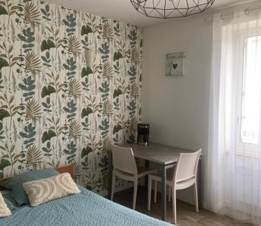 La Roche-sur-Yon Appartement | Studio 20 m2-Proche gare