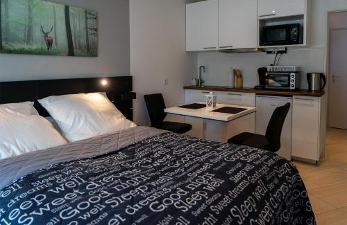 Schluchsee Appartement | Studio 20qm mit Balkon und Innenpool - 22030