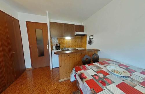 Le Grand-Bornand Appartement | Studio 4 couchages, proche télécabine, parking, animaux acceptés - FR-1-241-75