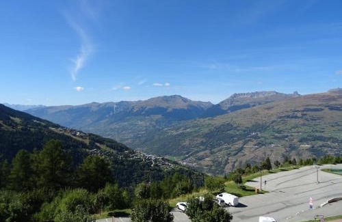 Vallandry Appartement | Studio 4 personnes à Vallandry, proche pistes et commerces, animaux acceptés - FR-1-411-180