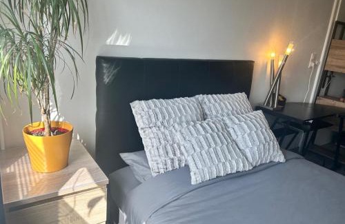 Basse-Ham Appartement | Studio 40m2 Quartier Résidentiel à 7mn Thionville et proche CNPE
